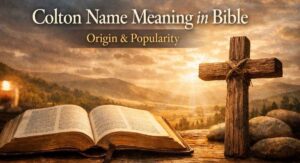 Colton Name Meaning in Bible Origin & Popularity