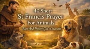 40 Short St Francis Prayer For Animals – Bless And Protect God’s Creatures