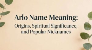 Arlo Name Meaning Origins, Spiritual Significance, and Popular Nicknames