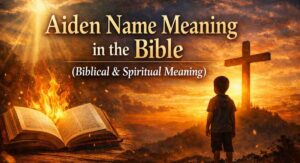 Aiden Name Meaning in the Bible (Biblical & Spiritual Meaning)