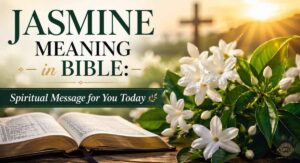 Jasmine Meaning in Bible Spiritual Message for You Today