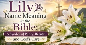 Lily Name Meaning in the Bible: A Symbol of Purity, Beauty, and God’s Care