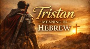 tristan meaning in hebrew