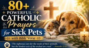 80+ Powerful Catholic Prayers for Sick Pets with Bible Verse