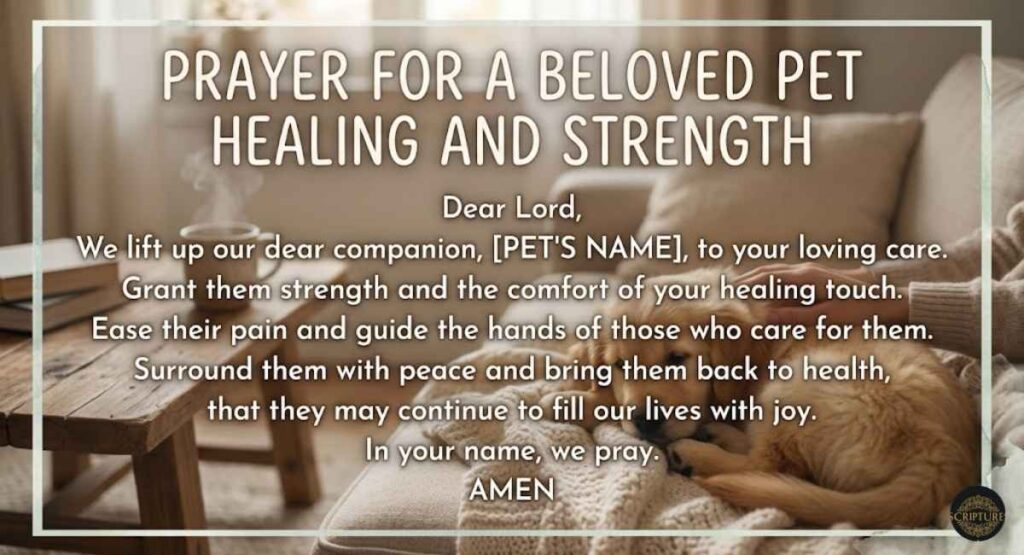 prayer-for-the-healing-of-a-sick-pet